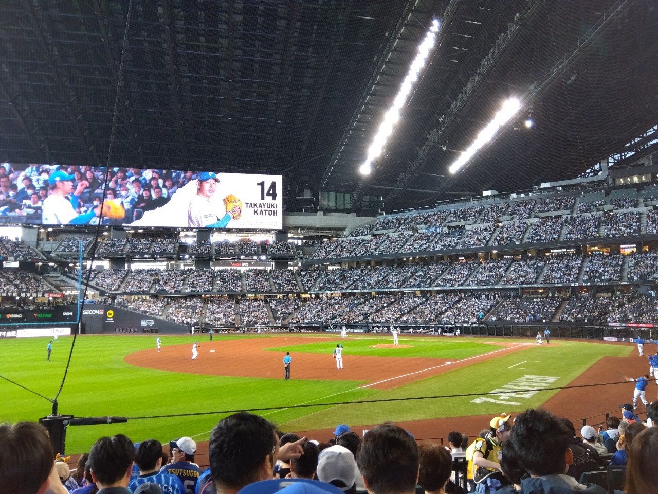 野球観戦